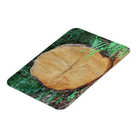 Einsammeln eines Waldes Magnet (Linke Seite)