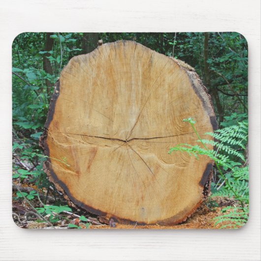 Einsammeln eines Waldes Mousepad (Vorne)