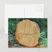 Einsammeln eines Waldes Postkarte (Vorne/Hinten)