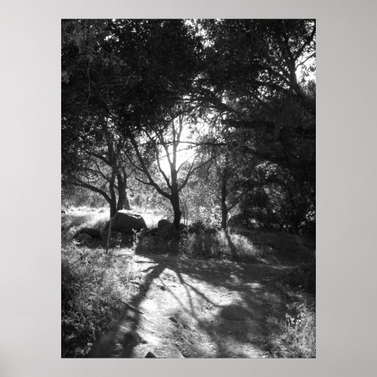 Einschließungspapier Poster (Vorne)