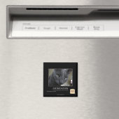 Einschüchterung Magnet (In Situ (Geschirrspüler))