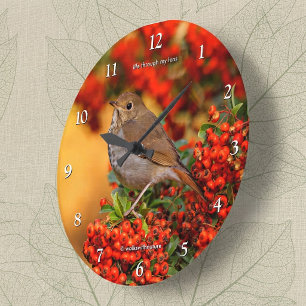 Einsiedlerdrossel Singvogel auf dem Scharlachroten Große Wanduhr