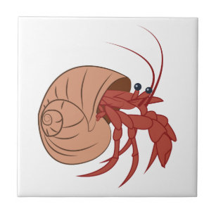 Einsiedlerkrebs Haustier Wohndekoration Haustierzubehor Zazzle De