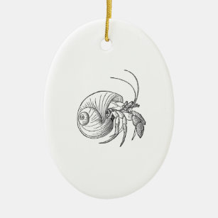 Einsiedlerkrebs Haustier Wohndekoration Haustierzubehor Zazzle De