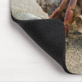 Einsiedlerkrebs liest einen Brief am Strand Mousepad (Ecke)