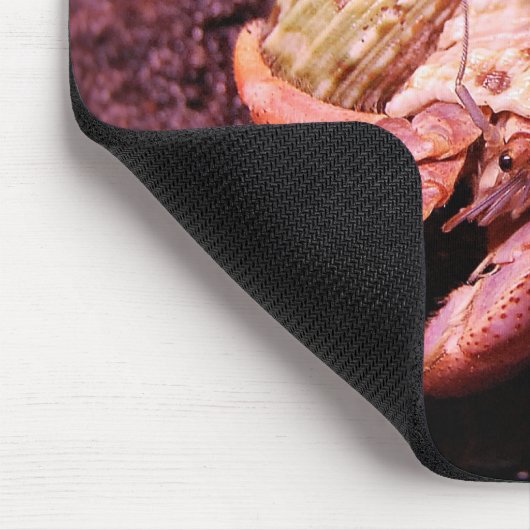 Einsiedlerkrebs Mousepad (Ecke)
