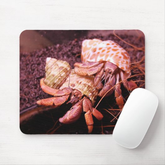 Einsiedlerkrebs Mousepad (Mit Mouse)