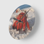 Einsiedlerkrebs Runde Wanduhr (Winkel)