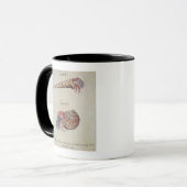 Einsiedlerkrebs Tasse (Vorderseite Links)