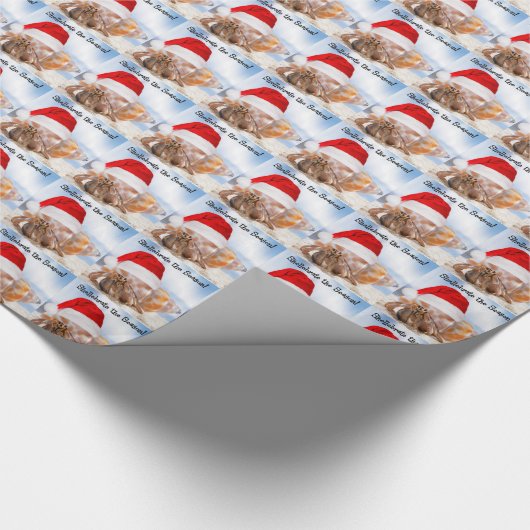 Einsiedlerkrebs-Weihnachten klein Geschenkpapier (Ecke)