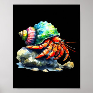 Einsiedlerkrebse Haustier Kletterfelsen Einsiedler Poster