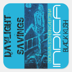 EINSPARUNG DES TAGES INDICA QUADRATISCHER AUFKLEBER