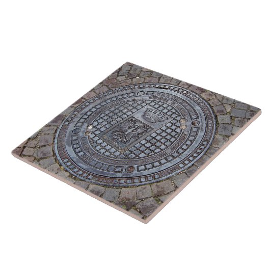 Einsteigelochabdeckungs- und fliese (Seite)