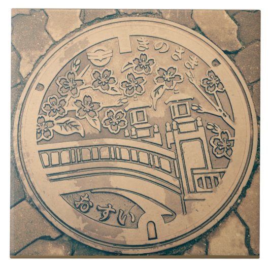 Einsteigelochabdeckungs- und fliese (Vorderseite)