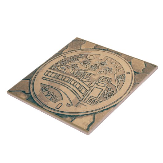 Einsteigelochabdeckungs- und fliese (Seite)