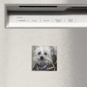Einstein der Hund Magnet (In Situ (Geschirrspüler))