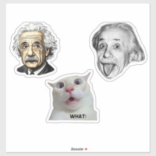 Einstein Genie & Lustiger Katzenaufkleber Aufkleber