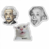 Einstein Genius & Hilarious Cat Sticker  (Vorderseite)