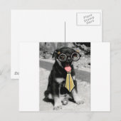 Einstein ist ein kluger, schwarzer Welpenhund Postkarte (Vorne/Hinten)