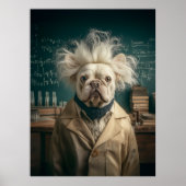 Einstein Pup im Labrador Coat Poster (Vorne)