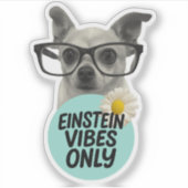 Einstein Vibes only - Smart & Sassy Sticker (Vorderseite)