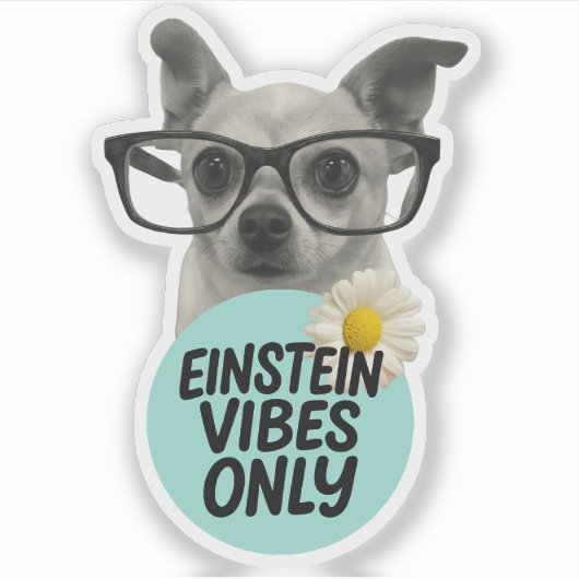 Einstein Vibes only - Smart & Sassy Sticker (Vorderseite)