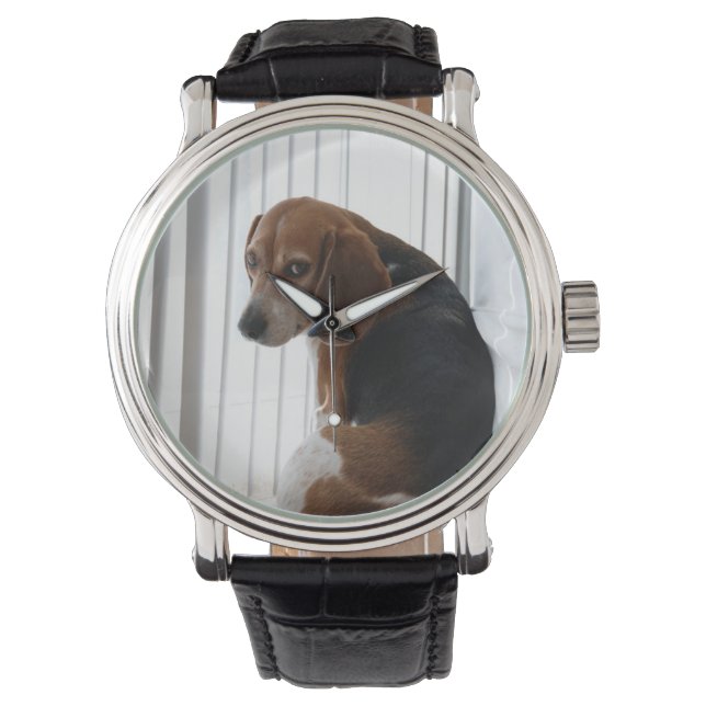 Einstellung des Beagle Armbanduhr (Vorderseite)