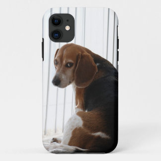 Einstellung des Beagle Case-Mate iPhone Hülle