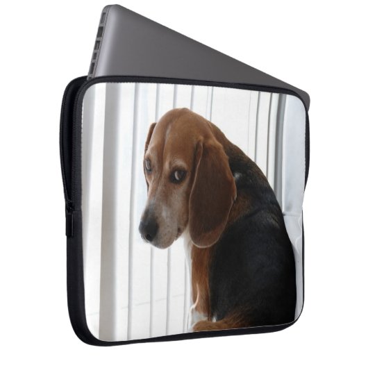 Einstellung des Beagle Laptopschutzhülle (Vorne Rechts)