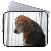 Einstellung des Beagle Laptopschutzhülle (Vorderseite)