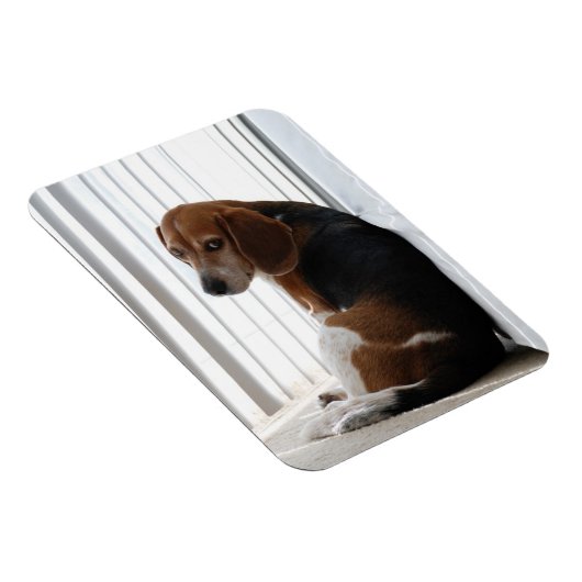 Einstellung des Beagle Magnet (Rechte Seite)