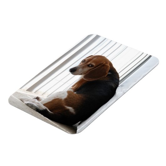 Einstellung des Beagle Magnet (Linke Seite)