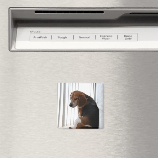 Einstellung des Beagle Magnet (In Situ (Geschirrspüler))