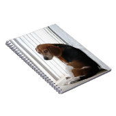 Einstellung des Beagle Notizblock (Rechte Seite)