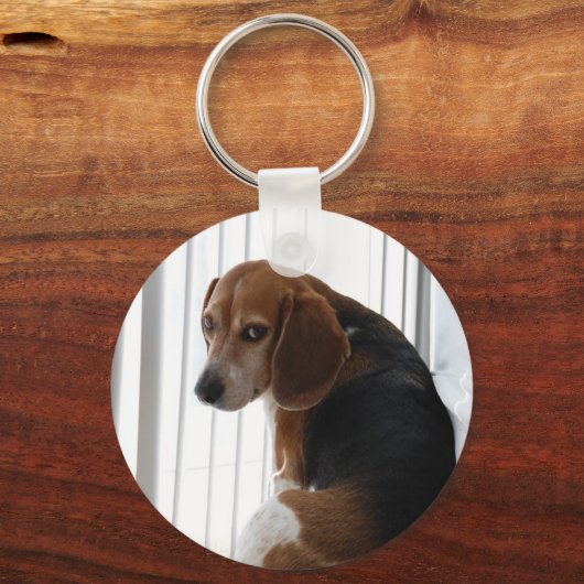 Einstellung des Beagle Schlüsselanhänger (Vorderseite)