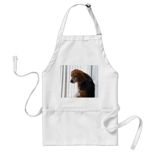 Einstellung des Beagle Schürze (Vorne)