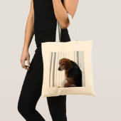 Einstellung des Beagle Tragetasche (Vorderseite (Produkt))