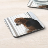 Einstellung des Beagle Untersetzer (Linke Seite)