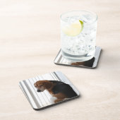 Einstellung des Beagle Untersetzer (Rechte Seite)