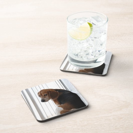 Einstellung des Beagle Untersetzer (Rechte Seite)