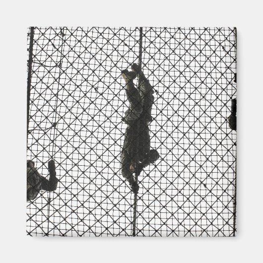 Einstellung eines Hindernisses Magnet (Vorne)