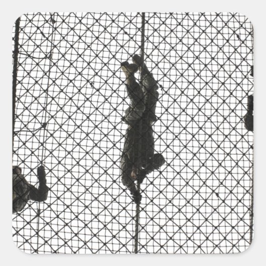 Einstellung eines Hindernisses Quadratischer Aufkleber (Vorderseite)