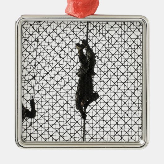 Einstellung eines Hindernisses Silbernes Ornament (Vorne)