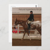 Einstiegsnummer 616 Pferdeausstellung Postkarte (Vorne/Hinten)