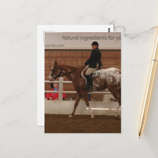 Einstiegsnummer 616 Pferdeausstellung Postkarte (Vorderseite/Rückseite Beispiel)