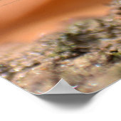 Eintagsfliege Poster (Ecke)