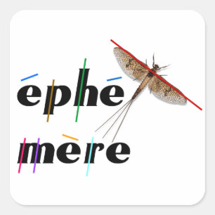 Eintagsfliege Quadratischer Aufkleber