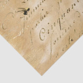 Eintagsfliege Seidenpapier (Detail)