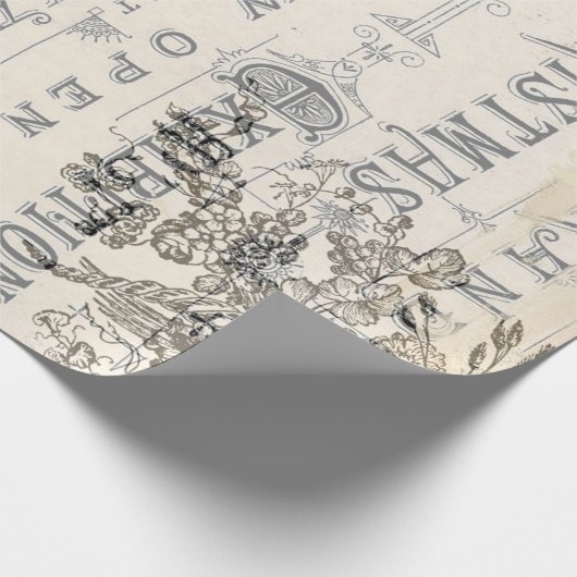 Eintagsfliege-WeihnachtsPackpapier Geschenkpapier (Ecke)