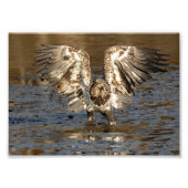 Eintauchen in Schlamm Stehend Fotodruck (Vorne)